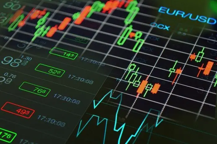Official Forex Broker in Indonesia Suitable for Beginners